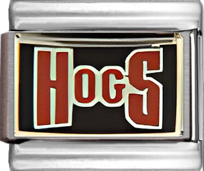 Arkansas HOGS Text College Charm
