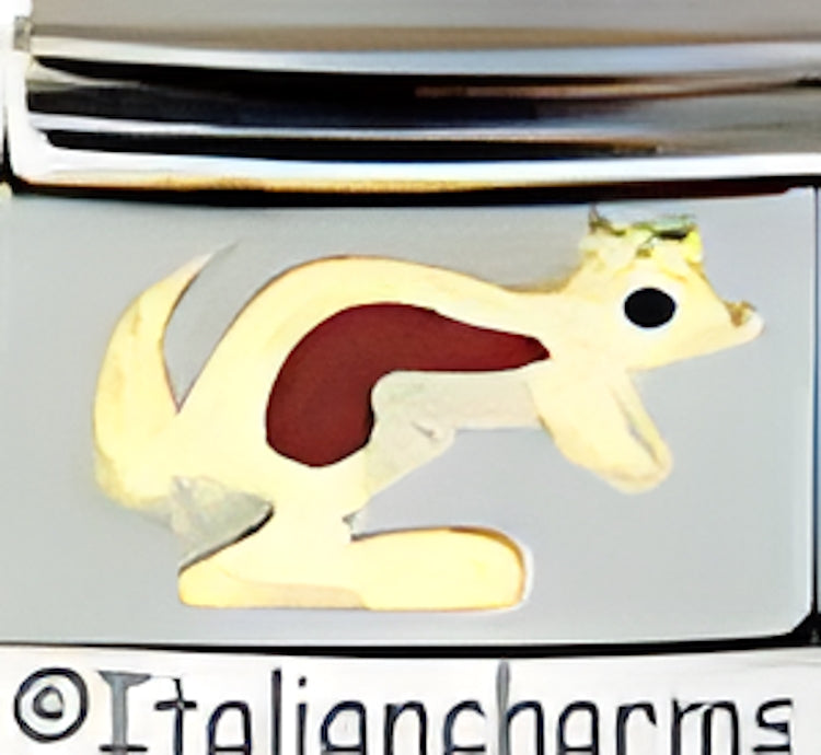 Red or Brown Kangaroo