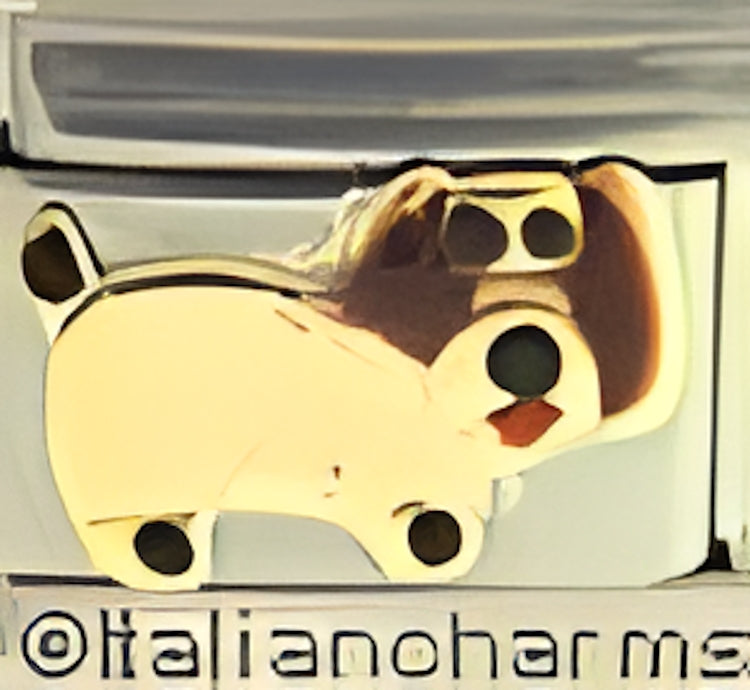 Dog with Brown Ears