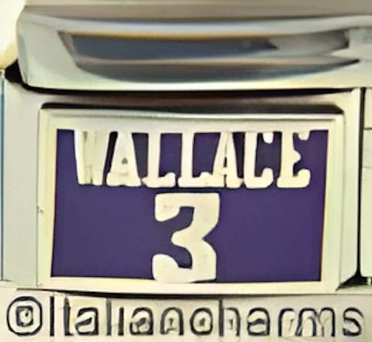 Licensed Basketball Sacramento Kings Wallace 3
