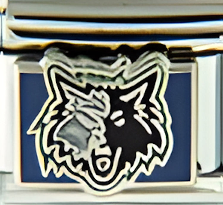 Licensed Basketball Minnesota Timberwolves Logo