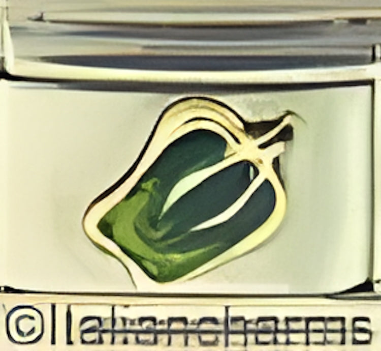 Green Bell Pepper