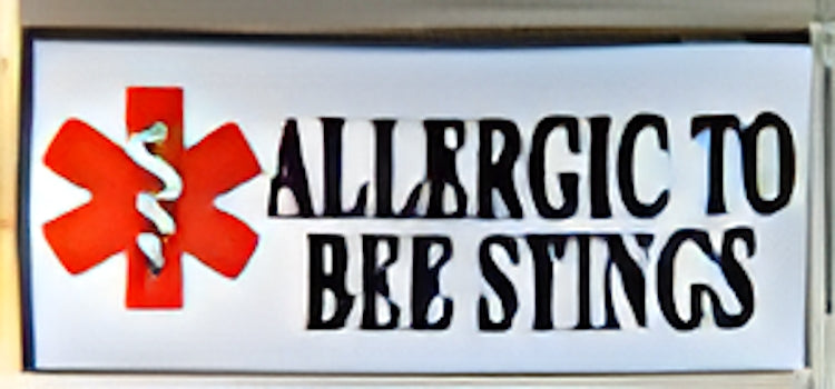 Superlink Allergic to Bee Stings Photo Charm