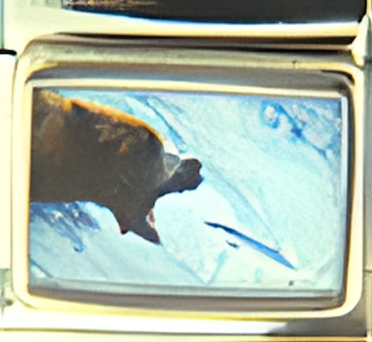 Grizzly Catching a Fish Photo Charm