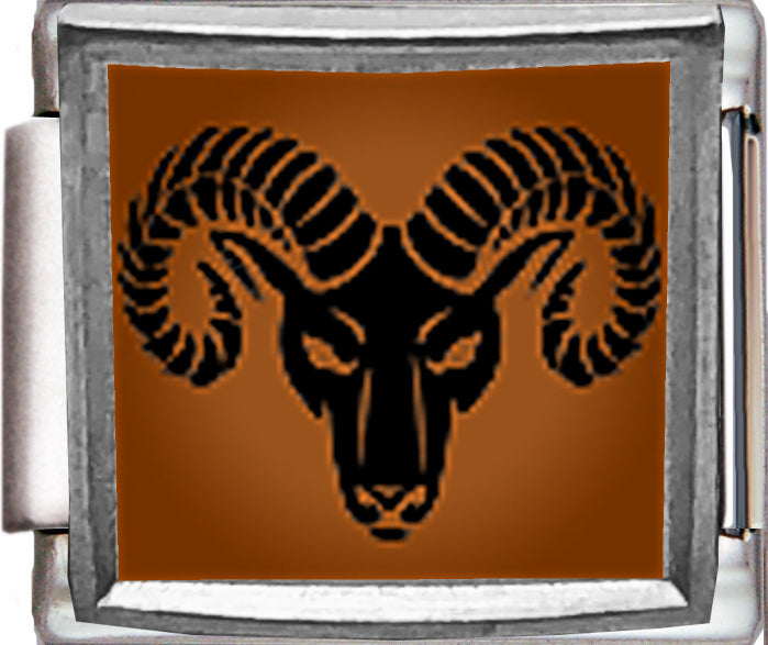 Zodiac Aries Photo Charm
