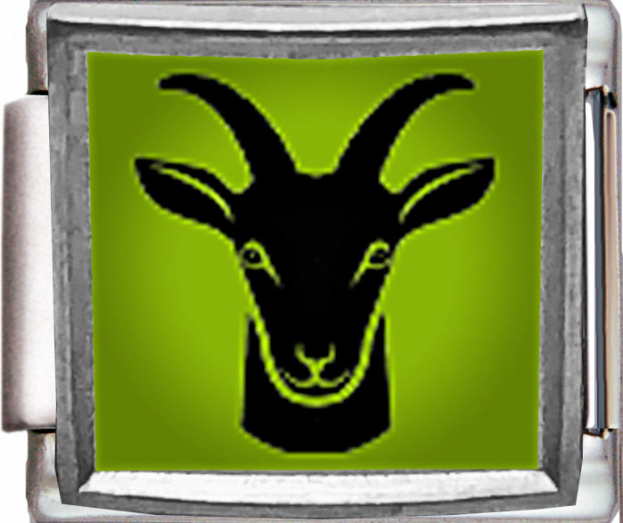Zodiac Capricorn Photo Charm