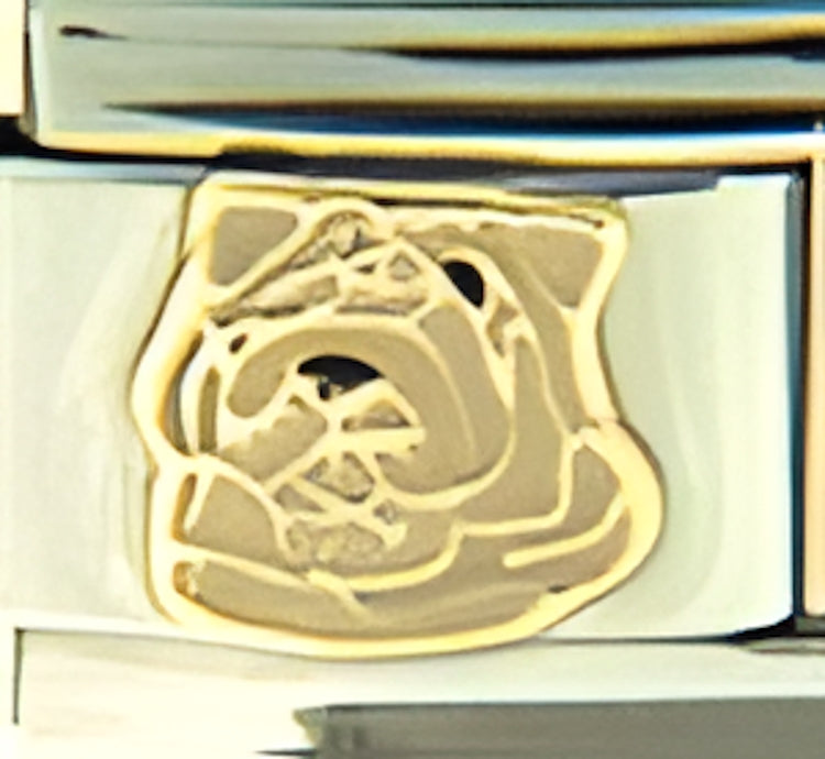 Beige Bull Dog
