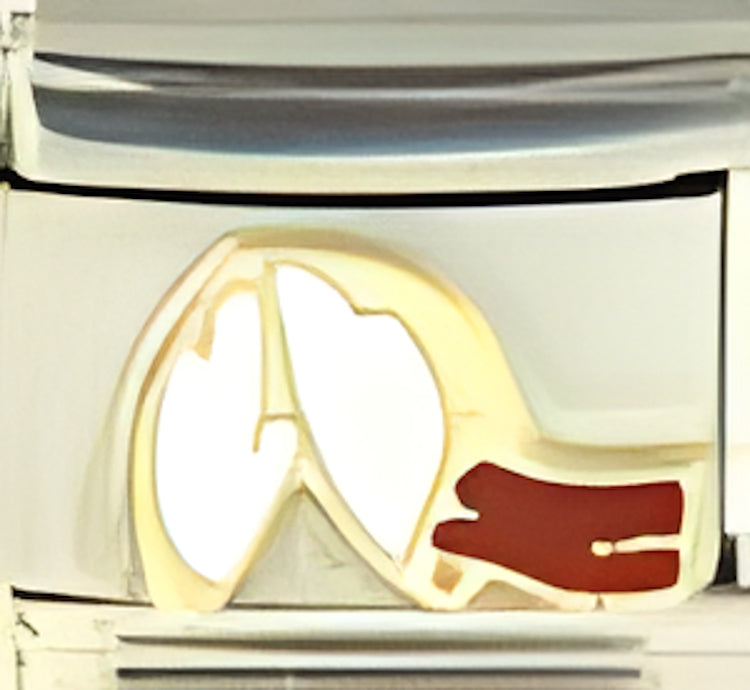 White Fortune Cookie