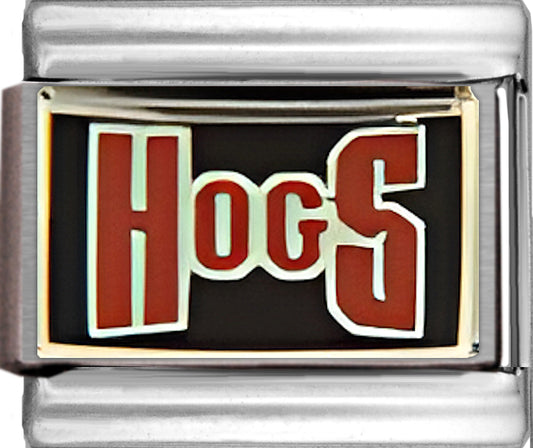 Arkansas HOGS Text College Charm
