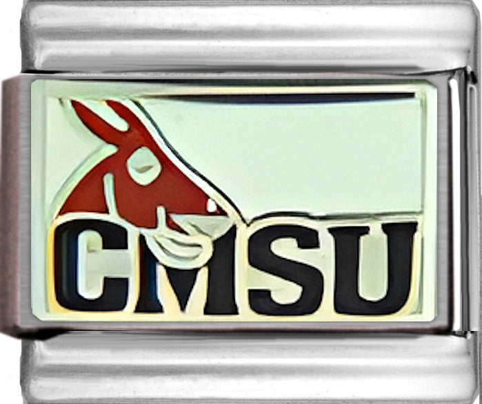 Central Missouri State Mules College Charm