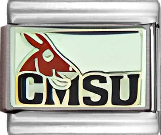 Central Missouri State Mules College Charm