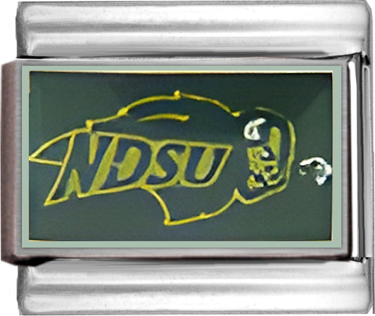 North Dakota State Bison College Charm