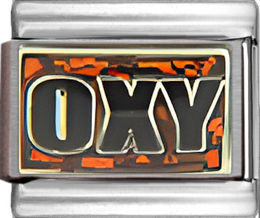Occidental Tigers College Charm