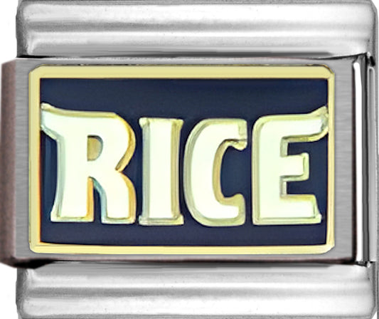 Rice University Owls College Charm