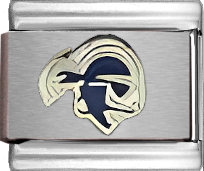 Seton Hall College Charm