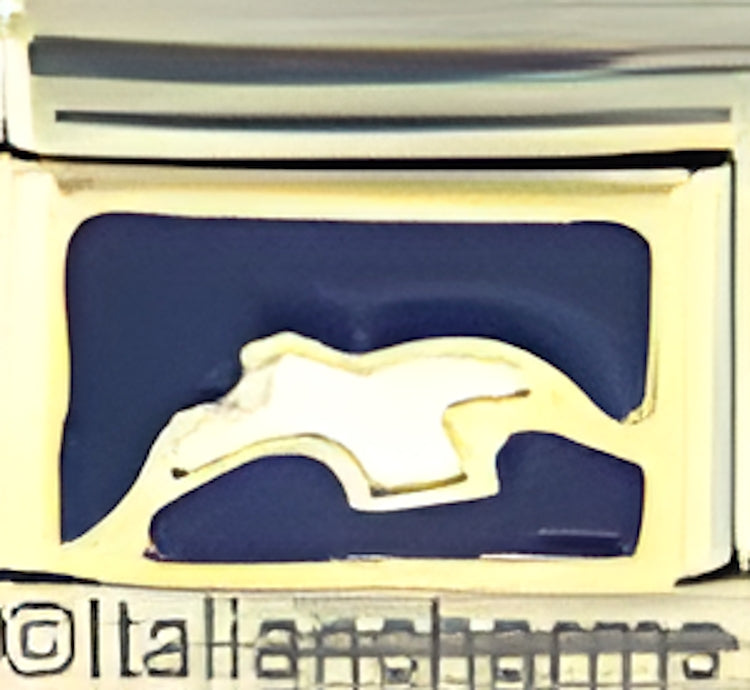 White Dove on Dark Blue