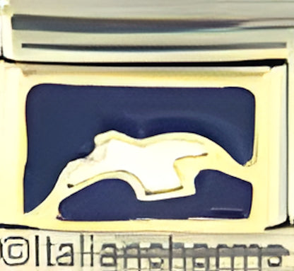 White Dove on Dark Blue