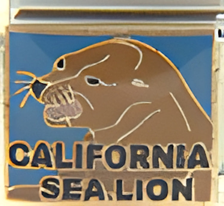 California Sea Lion