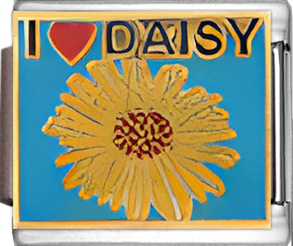 I Love Daisy Flower on Blue
