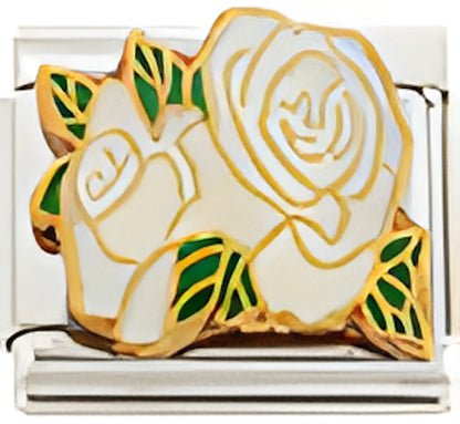 White Roses