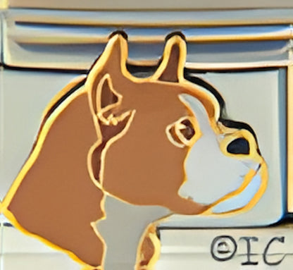 Boxer