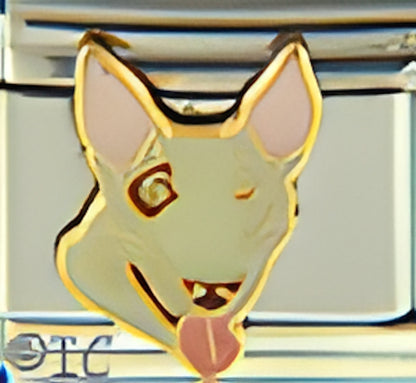 Bull Terrier