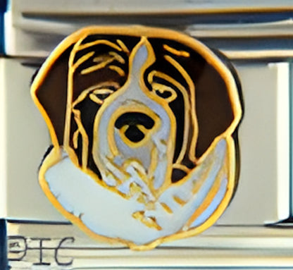 St. Bernard with Dark Brown Ears