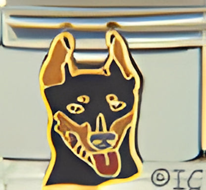 Doberman with Tongue