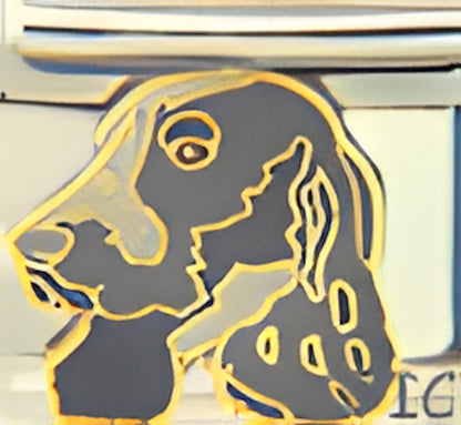 Gray Springer Spaniel
