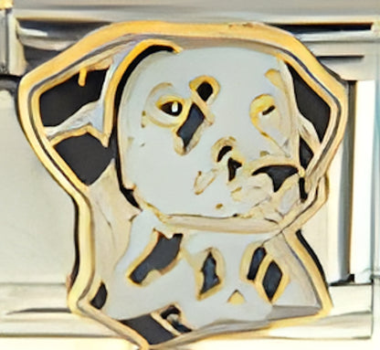 Dalmatian Dog