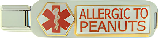 Medical ID Allergic to Peanuts
