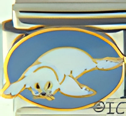 White Sea Lion on Blue