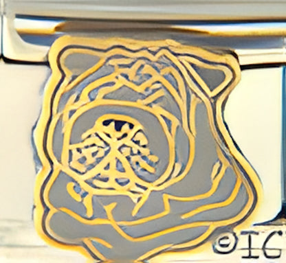 Shar Pei Breed