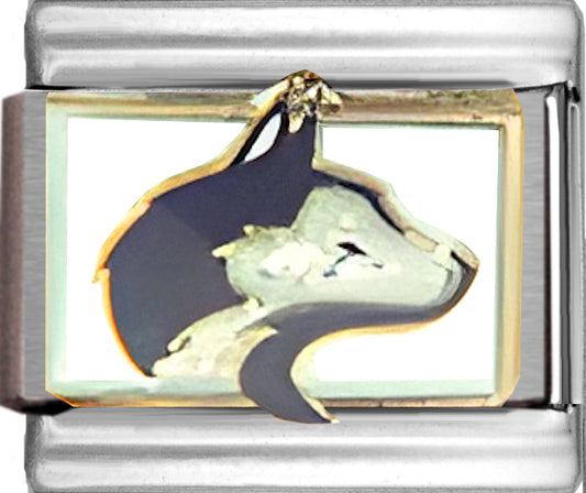 Washington Husky Head