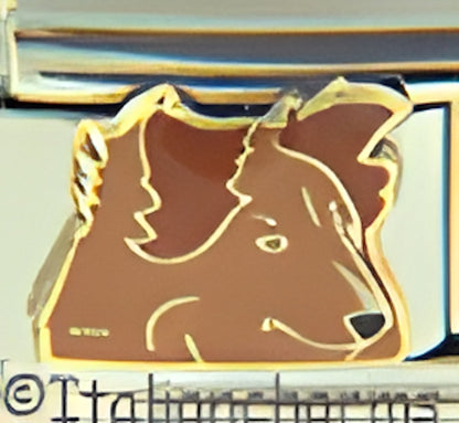 Collie