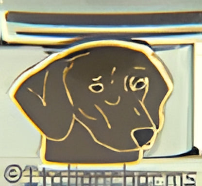 Dark Brown Dachshund