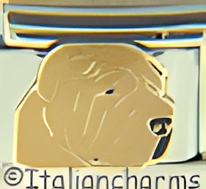 Shar Pei