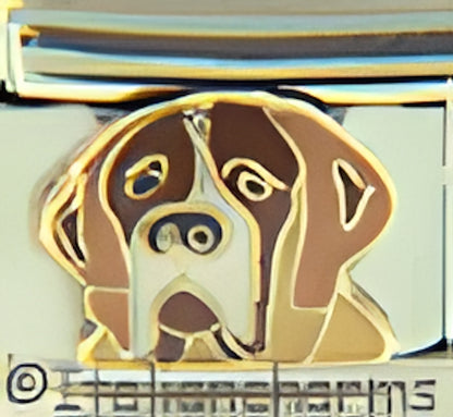 St. Bernard with Light Brown Ears