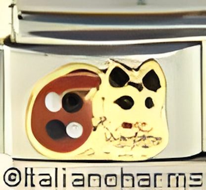 Calico Cat - Color varies