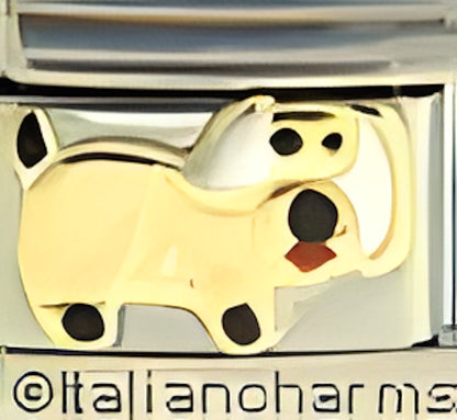 Dog with White Ears