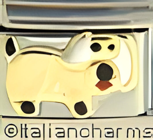 Dog with White Ears