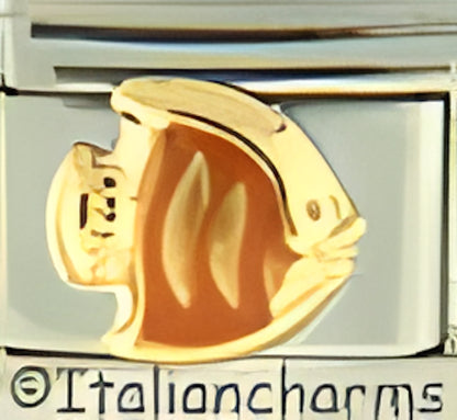 Orange Fish