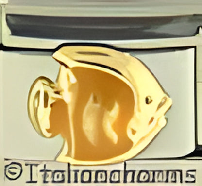 Yellow Fish