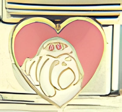 Maltese in Pink Heart