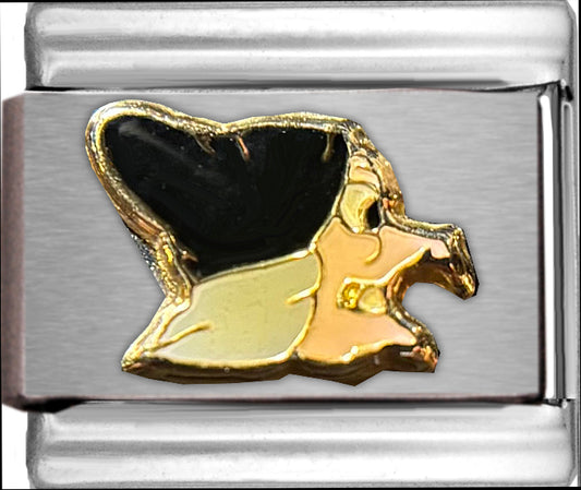 Disney Wicked Witch from Snow White