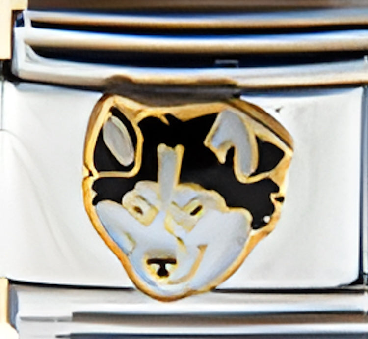 Alaskan Husky