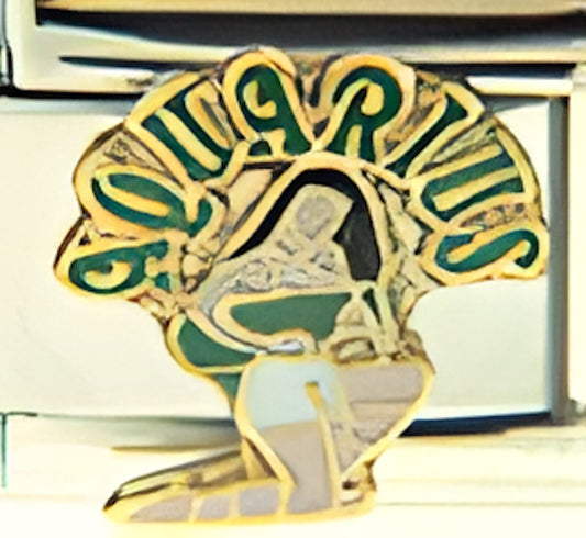 Aquarius Zodiac Jan 20-Feb 18