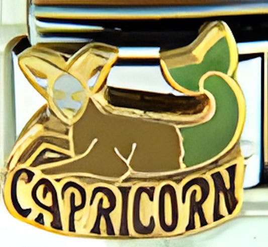 Capricorn Zodiac Dec 22-Jan 19