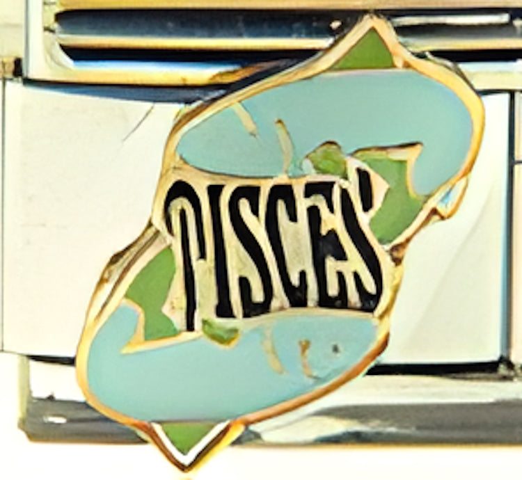 Pisces Zodiac Feb 19-March 20