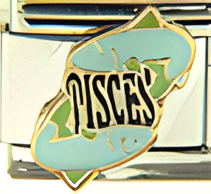 Pisces Zodiac Feb 19-March 20